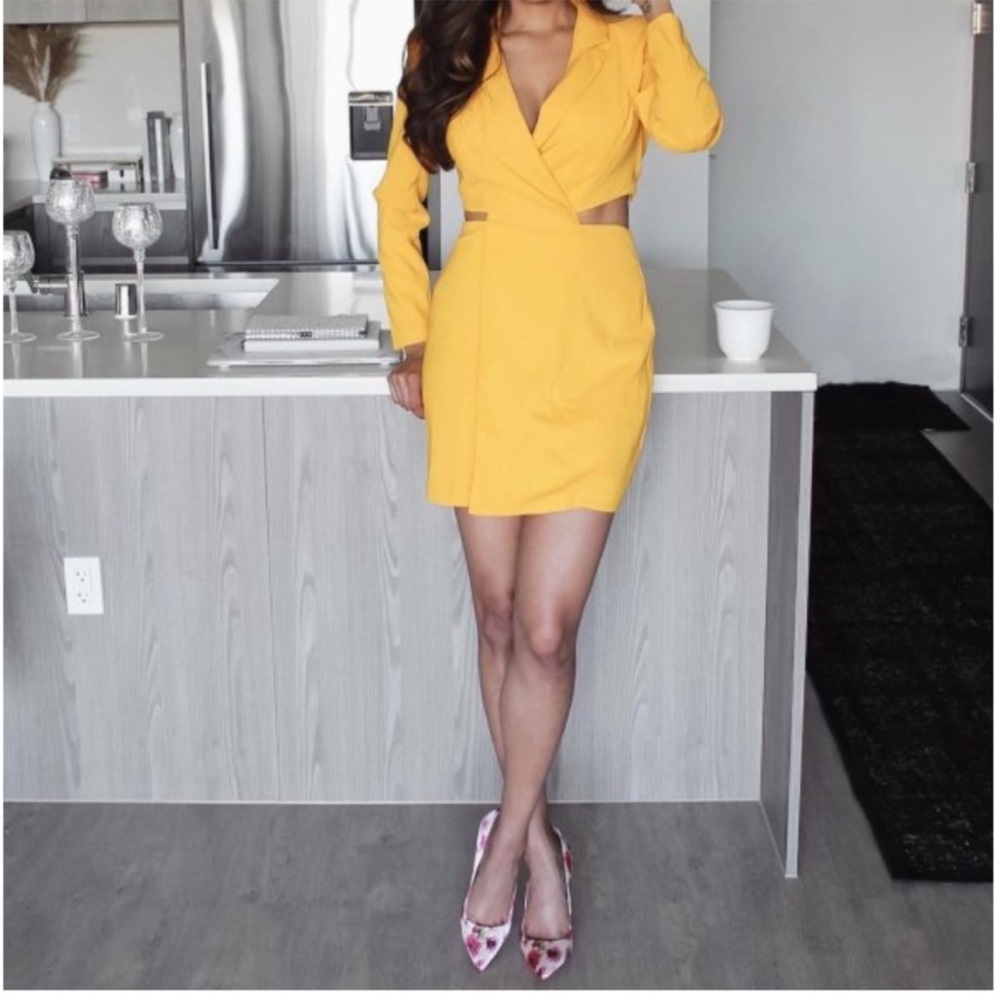 NWT Express cut out blazer dress
